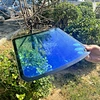 Car Window Tint Chameleon PVC Film Blue Rose
